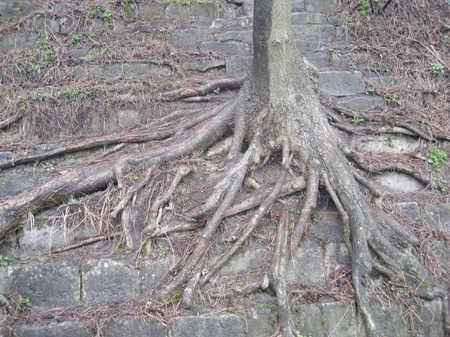 На Високому замку